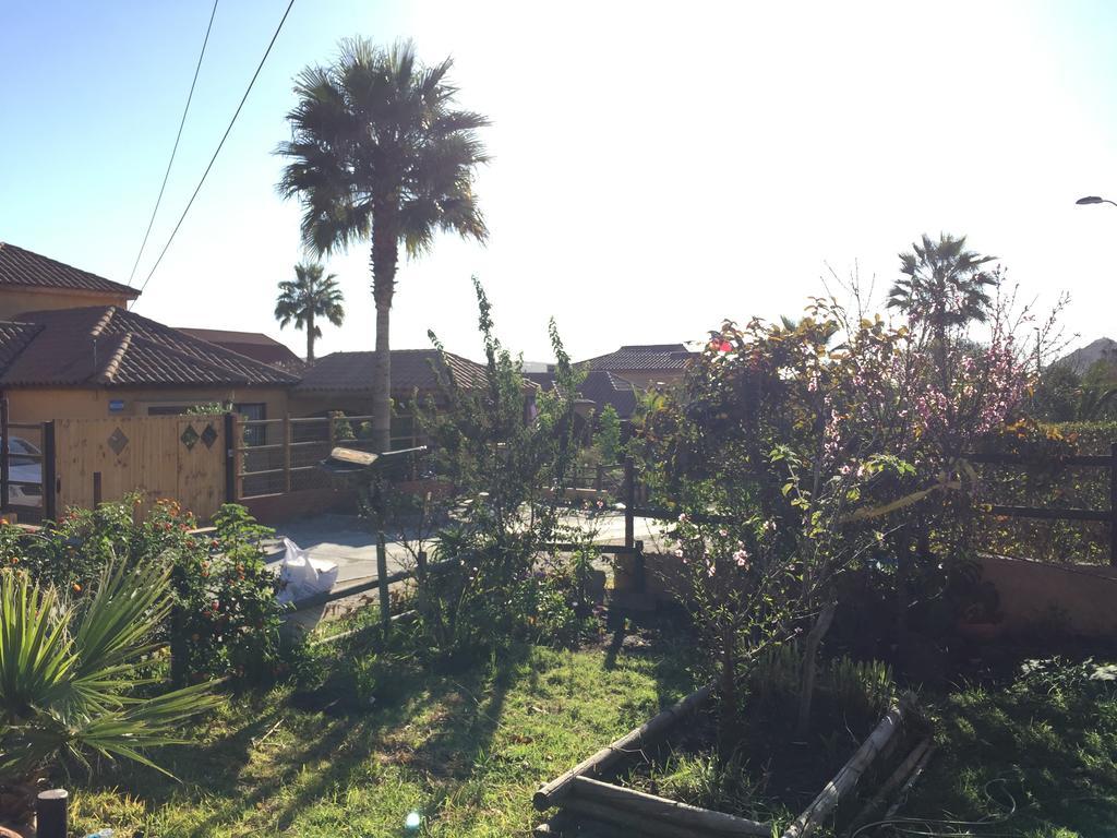 Hostal Playa Herradura Coquimbo Zewnętrze zdjęcie